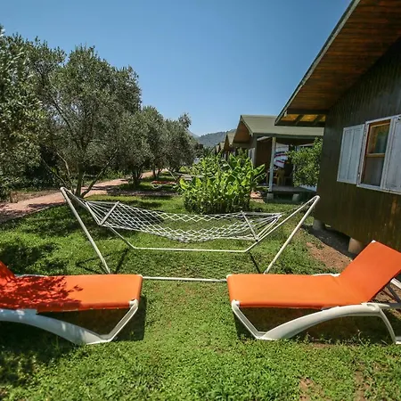 Homestay szállás Zakkum Çıralı