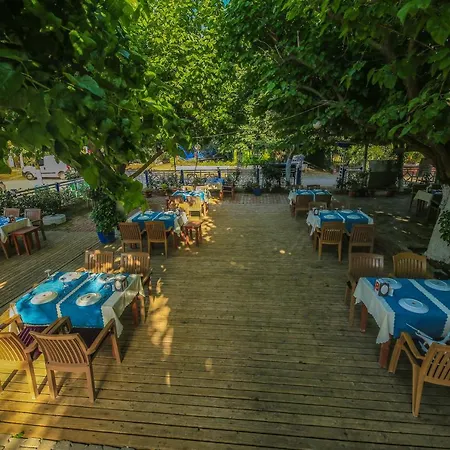 Homestay szállás Zakkum Çıralı
