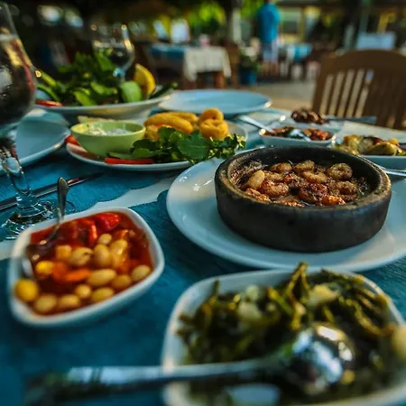Homestay szállás Zakkum Çıralı