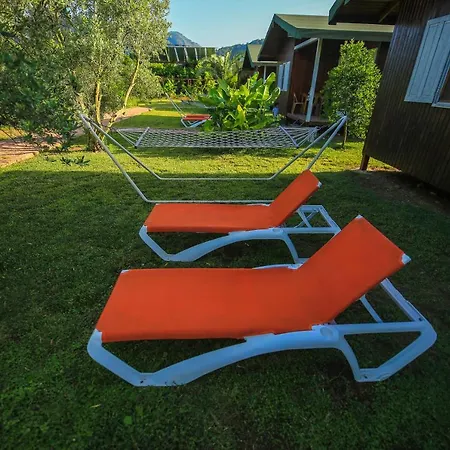 Homestay szállás Zakkum Çıralı